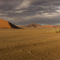 Buy canvas prints of Sossusvlie Sand Dunes, Namib Desert by colin chalkley