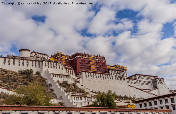 The Potala Palace in Tibet Picture Board by colin chalkley