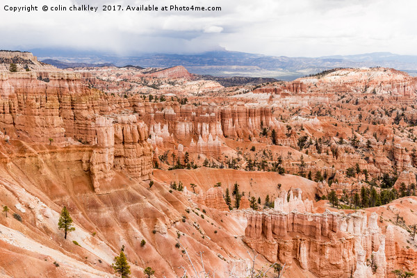 The Silent City in Bryce Canyon Picture Board by colin chalkley