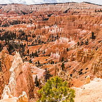 Buy canvas prints of Enchanted Bryce Canyon Hoodoos by colin chalkley