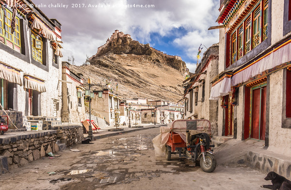 Gyantse Sidestreet, Tibet Picture Board by colin chalkley
