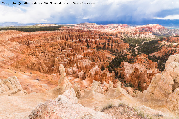  Bryce Canyon Hoodoos Picture Board by colin chalkley