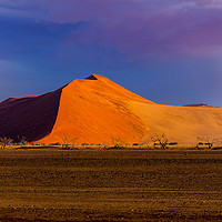 Buy canvas prints of Sossusvlie Sand Dunes, Namib Desert by colin chalkley
