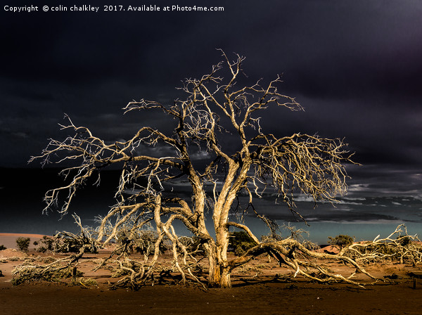 Namibia - Surreal Sossusvlie at Dawn Picture Board by colin chalkley