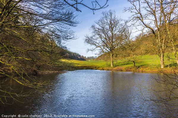 Source of the River Stour at Stourhead Picture Board by colin chalkley