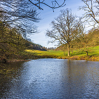 Buy canvas prints of Source of the River Stour at Stourhead by colin chalkley