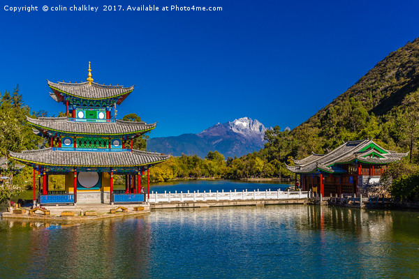 Black Dragon Lake - Lijiang, China Picture Board by colin chalkley
