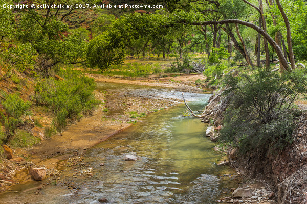 Zion National Park USA Picture Board by colin chalkley