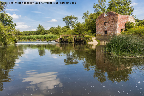 Reflections at Cutt Mill in Dorset Picture Board by colin chalkley
