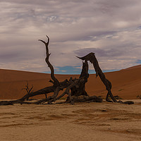 Buy canvas prints of Salt and Clay Pan at Deadvlie, Namibia by colin chalkley