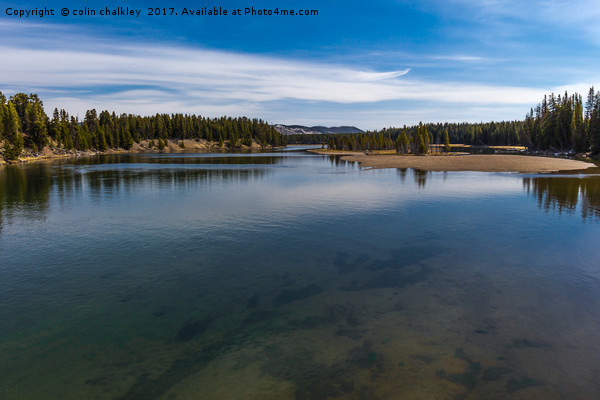  View from the Fishing Bridge over the Yellowstone Picture Board by colin chalkley