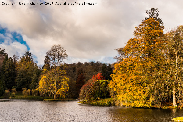Late November afternoon at Stourhead Gardens Picture Board by colin chalkley