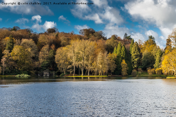 Late November afternoon at Stourhead Gardens Picture Board by colin chalkley