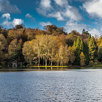 Buy canvas prints of Late November afternoon at Stourhead Gardens by colin chalkley