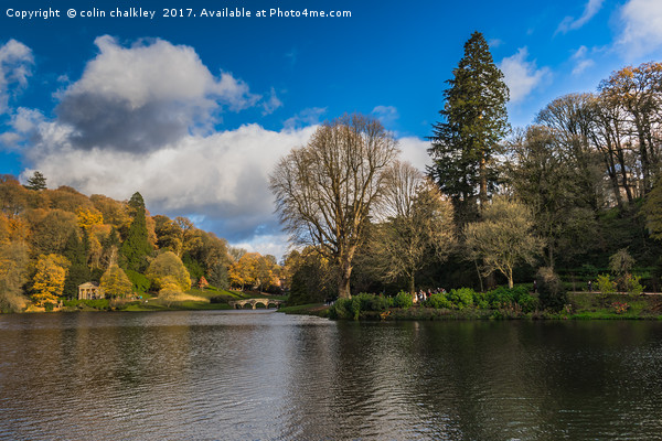 Stourhead  Picture Board by colin chalkley