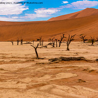 Buy canvas prints of Deadvlei in Namibia by colin chalkley
