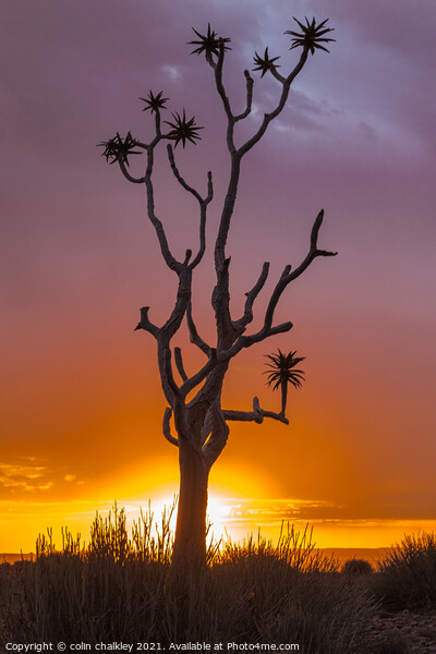 Sunset in Fish River Canyon Namibia Picture Board by colin chalkley