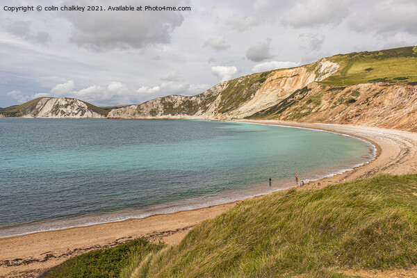 Worbarrow Bay in Dorset Picture Board by colin chalkley