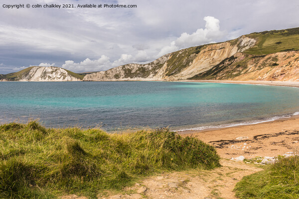 Worbarrow Bay in Dorset County Picture Board by colin chalkley