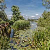 Buy canvas prints of Sluice Gates at Cutt Mill in North Dorset by colin chalkley