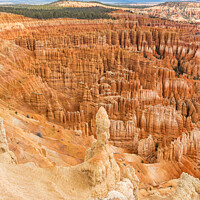 Buy canvas prints of  Bryce Canyon Hoodoos by colin chalkley