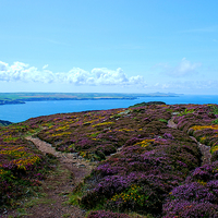 Buy canvas prints of  Penbwchdy, Pembrokeshire by Barrie Foster