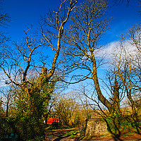 Buy canvas prints of Pembrokeshire Homestead by Barrie Foster