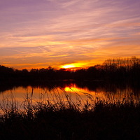 Buy canvas prints of  Sunset at Emberton Lake by Tony Dimech