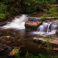Buy canvas prints of Taf Fechan Forest waterfall by Leighton Collins