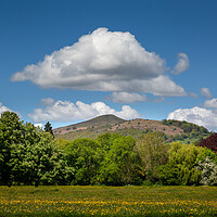 Buy canvas prints of Skirrid mountain and Castle Meadows park by Leighton Collins