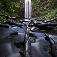 Buy canvas prints of Fallen trees at Henrhyd waterfall by Leighton Collins