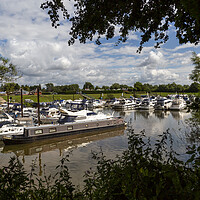 Buy canvas prints of Upton on Severn marina by Leighton Collins