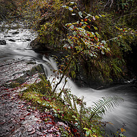 Buy canvas prints of Waterfall on the Nant Llech river by Leighton Collins