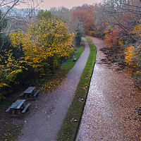 Buy canvas prints of Brecon Canal covered in Autumn leaves by Leighton Collins