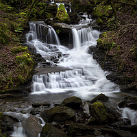 Buy canvas prints of Melincourt Brook falls by Leighton Collins