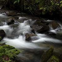 Buy canvas prints of Melincourt Brook by Leighton Collins
