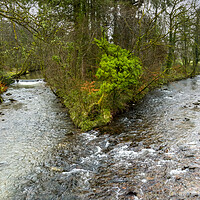 Buy canvas prints of The river Tawe at Craig-y-Nos Country Park by Leighton Collins