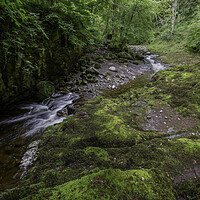 Buy canvas prints of The Afon Pyrddin valley by Leighton Collins
