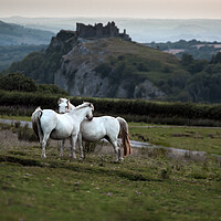 Buy canvas prints of Horses at Carreg Cennin Castle by Leighton Collins