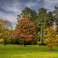 Buy canvas prints of Autumn colours by Leighton Collins