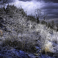Buy canvas prints of Winter on the Brecon Beacons by Leighton Collins