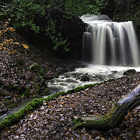 Buy canvas prints of Longford waterfall by Leighton Collins