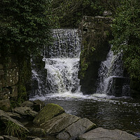 Buy canvas prints of Penllergare waterfall in Swansea by Leighton Collins