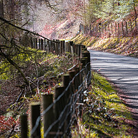 Buy canvas prints of Old wooden fence by Leighton Collins