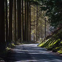 Buy canvas prints of A sunlit country road by Leighton Collins