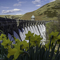 Buy canvas prints of Elan Valley in Spring by Leighton Collins