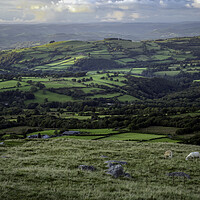 Buy canvas prints of West Wales countryside by Leighton Collins