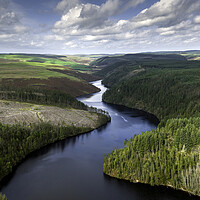 Buy canvas prints of Forestry at Llyn Brianne by Leighton Collins