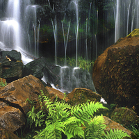 Buy canvas prints of Waterfall and ferns by Leighton Collins