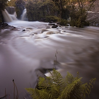 Buy canvas prints of Penllergaer waterfall Swansea by Leighton Collins